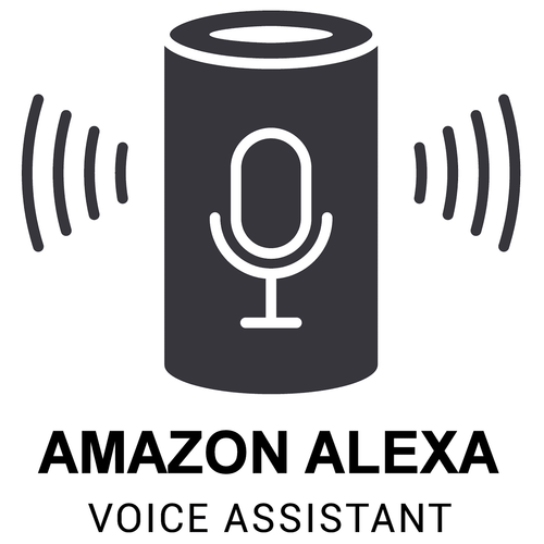 Amazon Alexa Voice Assistant Security Systems