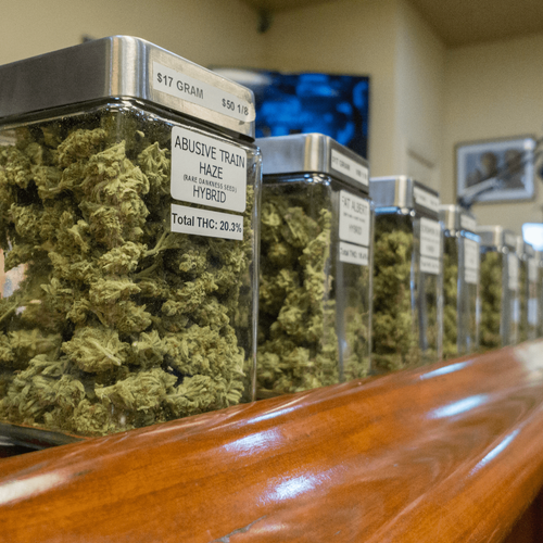 Cannabis Dispensary Security Systems