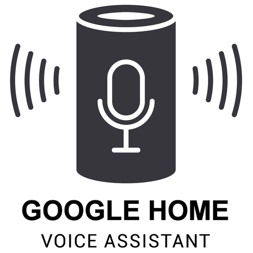 Google Home Voice Assistant Security Systems