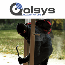 Qolsys Burglar Alarm Monitoring Services