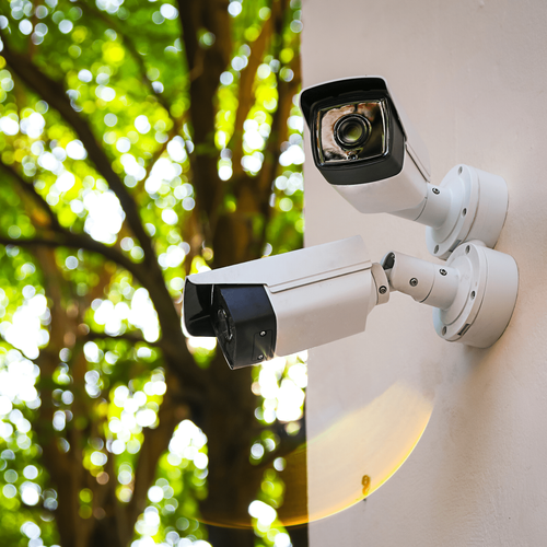 Standalone Video Surveillance Monitoring Form